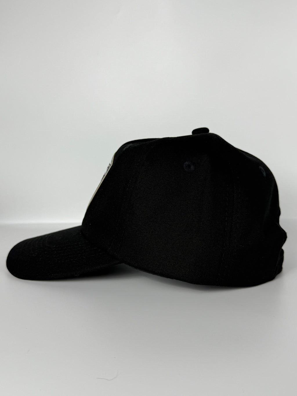 Tesla Dad Hat Black/White