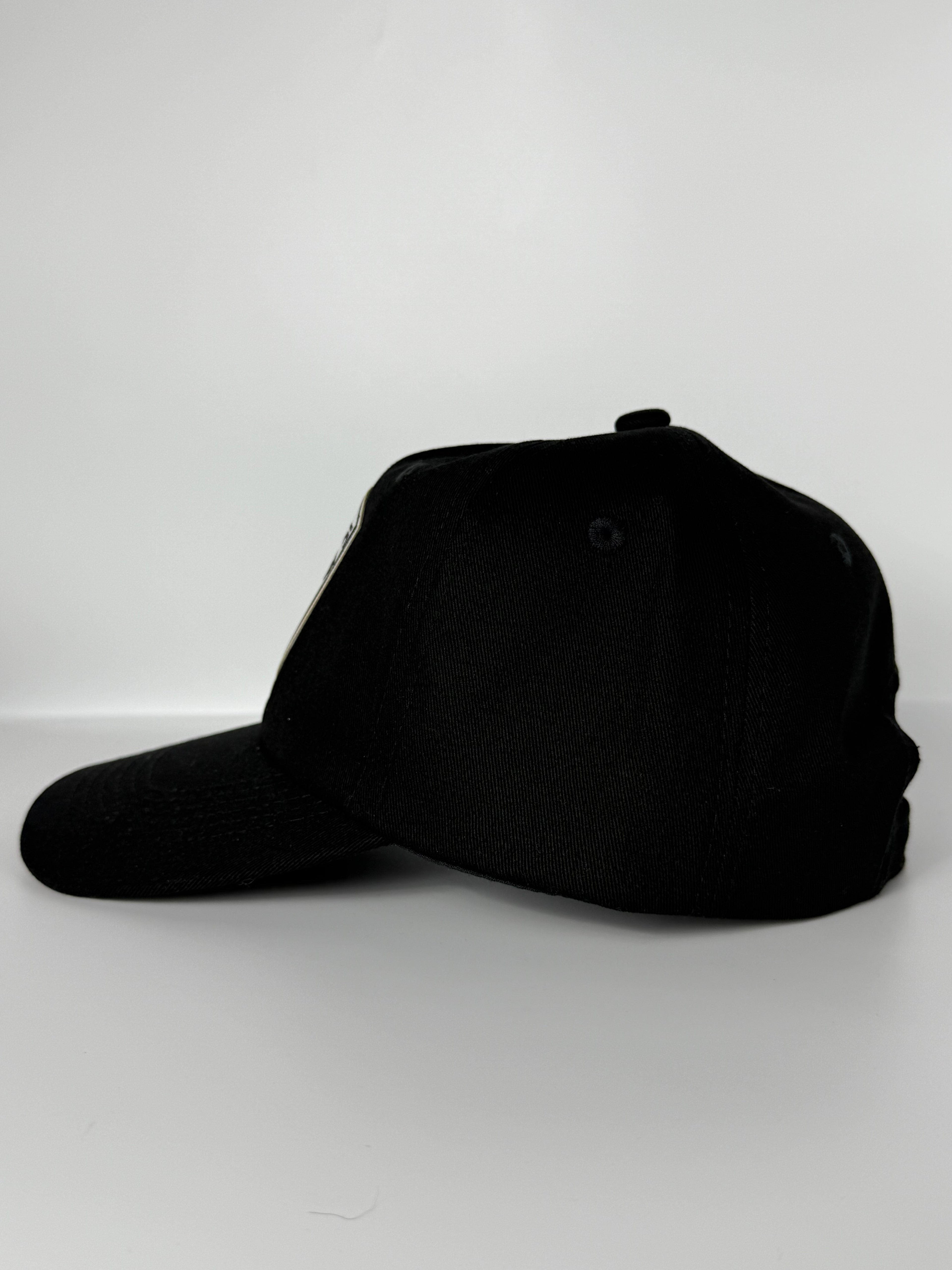 Tesla Dad Hat Black/White