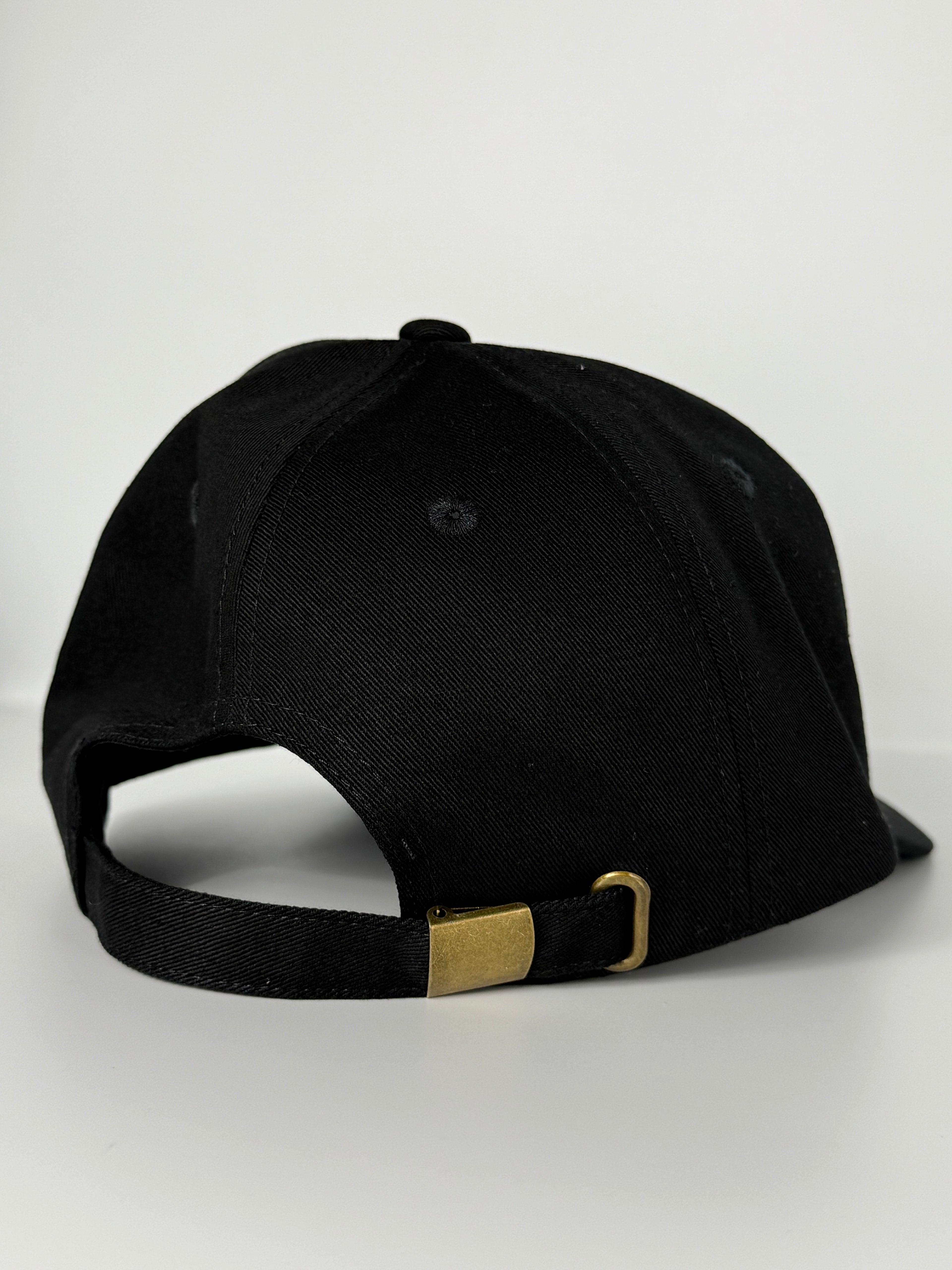Tesla Dad Hat Black/White