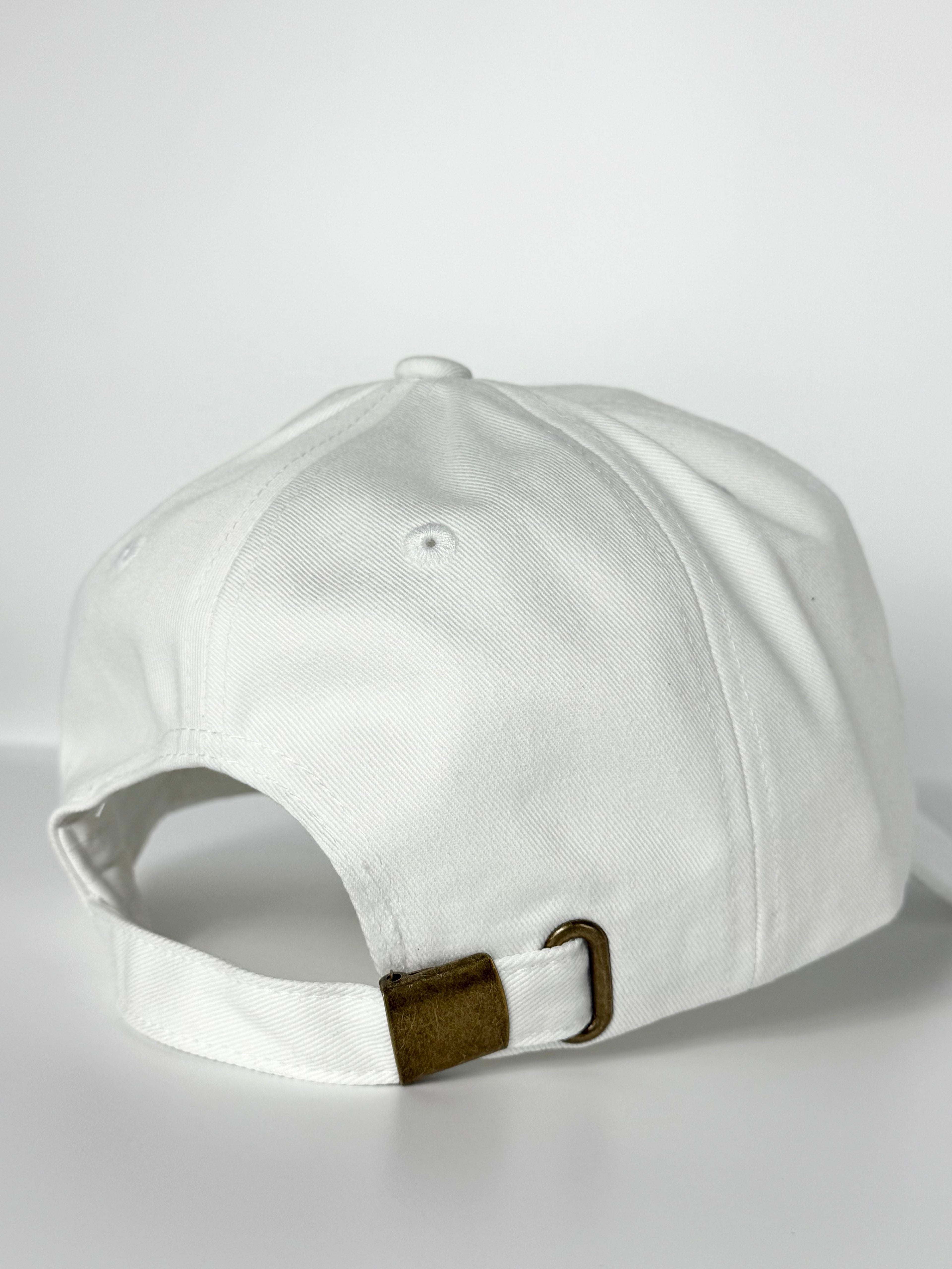 Tesla Dad Hat White/Black